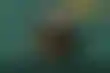 扑克锦标赛：何时全押？测验你的策略