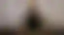 在线赌场:迪·贾科莫在圣雷莫High Roller赛事中夺冠