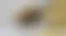 意大利赌博业的法律与消费者保护分析