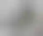 برونكو يطلق بينغو تفاعليًا مع كوكاكولا وجوائز قيمة