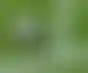 UltraPlay تقدم مراهنات مباشرة حصرية على نهائي كأس العالم التفاعلي FIFA 2017