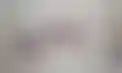 热门德州:欧洲赌场协会副主席霍舍尔辞职