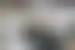 在线德州扑克能赚钱吗:GAN第二季度收入飙升,得益于美国玩家转向在线游戏