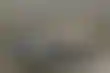 扑克赚钱:FanDuel将在密西西比州推出体育博彩业务