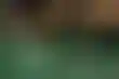 德州下载:英国赌博问题：数据平稳，监管加强