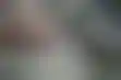 德州扑克app vivo:iGaming学院提供免费课程，助力博彩业应对疫情