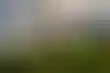 线上德州扑克有哪些陷阱:荷兰赌博监管机构发布谨慎义务指南