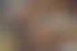 德州扑克线上玩:Everi第三季度营收分析：复苏迹象显现