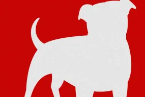 حصاد شبكة "PokerAgent"- اختراق حسابات ذات قيمة عالية في لعبة Zynga Poker