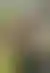 德州扑克平台有没有夜间赛:献身游戏的青春:大原MEN的游戏实况与人生
