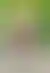 线上德州:《与康德散步》：一本轻松解读康德哲学的好书