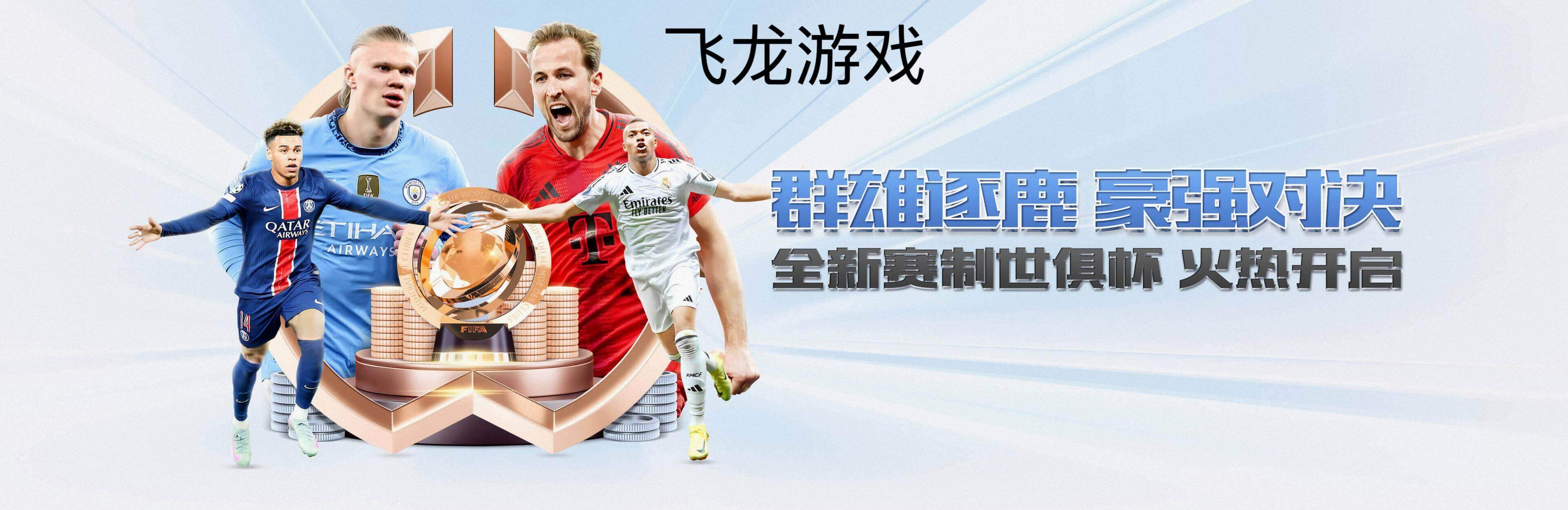 飞龙游戏 - logo